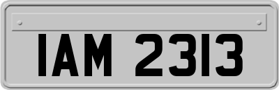 IAM2313