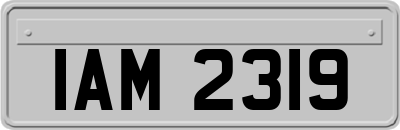 IAM2319