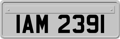 IAM2391