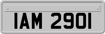 IAM2901