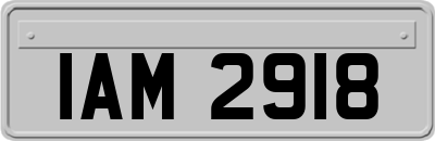 IAM2918