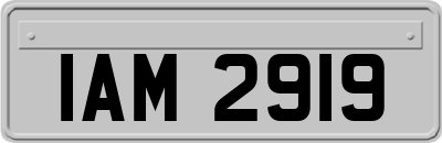 IAM2919
