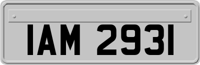 IAM2931