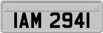 IAM2941