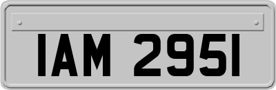 IAM2951