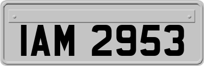 IAM2953