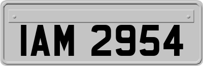 IAM2954