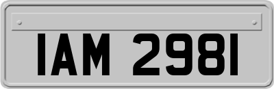 IAM2981