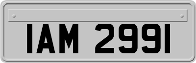 IAM2991