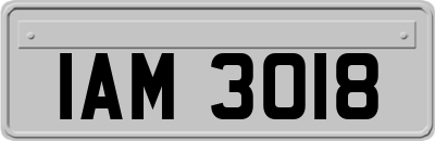 IAM3018