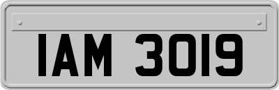 IAM3019