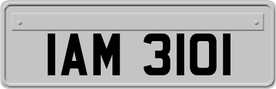 IAM3101
