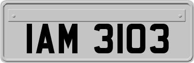 IAM3103