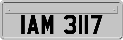 IAM3117