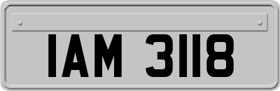 IAM3118