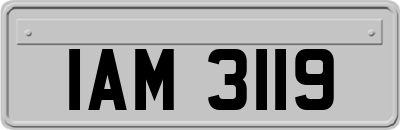 IAM3119
