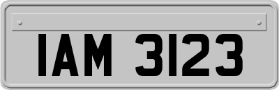 IAM3123