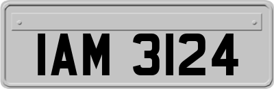 IAM3124