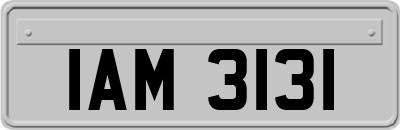 IAM3131
