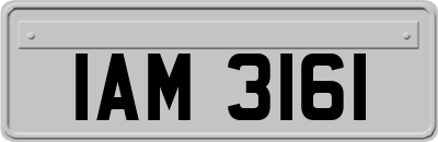 IAM3161