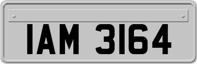 IAM3164