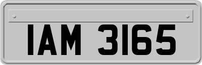 IAM3165