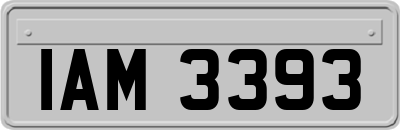 IAM3393