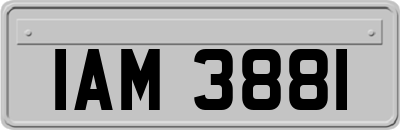 IAM3881