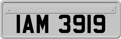 IAM3919
