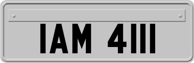 IAM4111