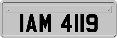 IAM4119