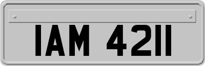 IAM4211