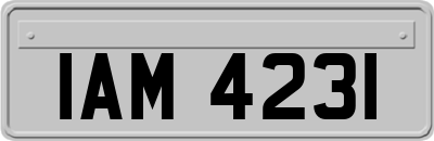 IAM4231