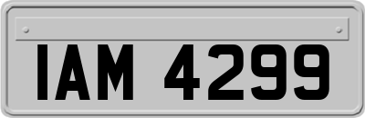 IAM4299