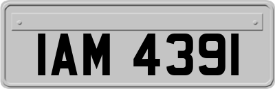 IAM4391