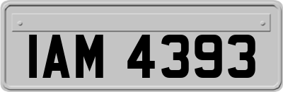 IAM4393