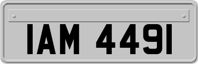 IAM4491