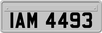 IAM4493