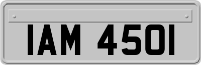 IAM4501