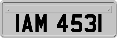 IAM4531