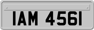 IAM4561