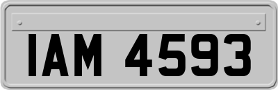 IAM4593