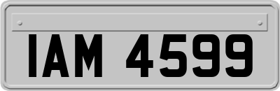 IAM4599