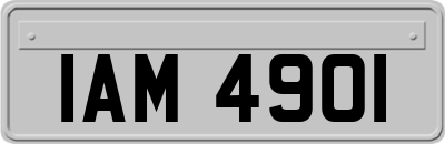 IAM4901