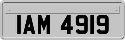 IAM4919