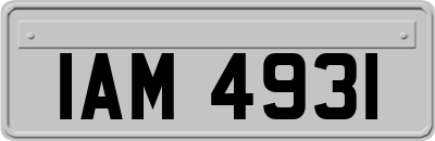 IAM4931