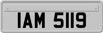 IAM5119