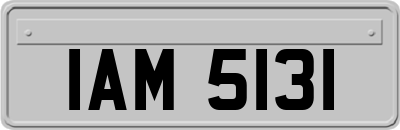 IAM5131