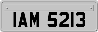 IAM5213