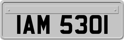 IAM5301